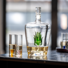 Load image into Gallery viewer, Tequila Agave Decanter With 6 Shot Glasses And Stand