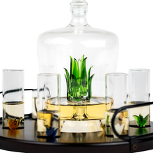 Load image into Gallery viewer, Tequila Agave Decanter With 6 Shot Glasses And Stand