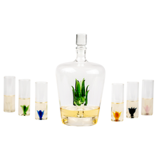 Load image into Gallery viewer, Tequila Agave Decanter With 6 Shot Glasses And Stand