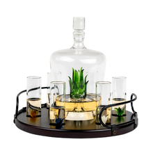 Load image into Gallery viewer, Tequila Agave Decanter With 6 Shot Glasses And Stand