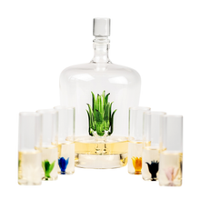 Load image into Gallery viewer, Tequila Agave Decanter With 6 Shot Glasses And Stand