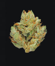 Load image into Gallery viewer, Green: A Field Guide to Marijuana
