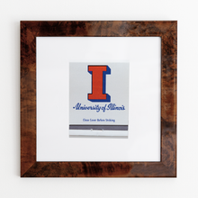 Load image into Gallery viewer, University of Illinois: White Frame: $135
